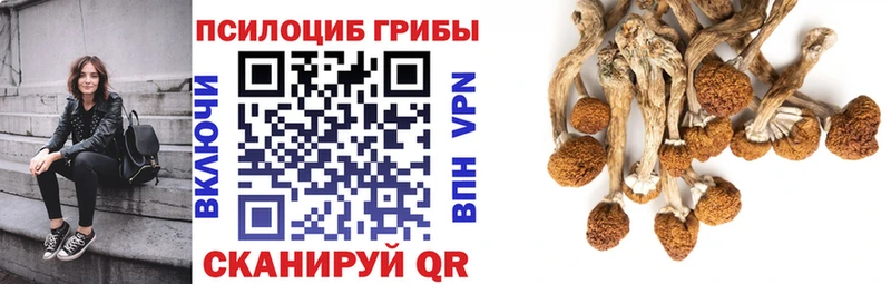 Галлюциногенные грибы Magic Shrooms  ссылка на мегу как зайти  Урус-Мартан 